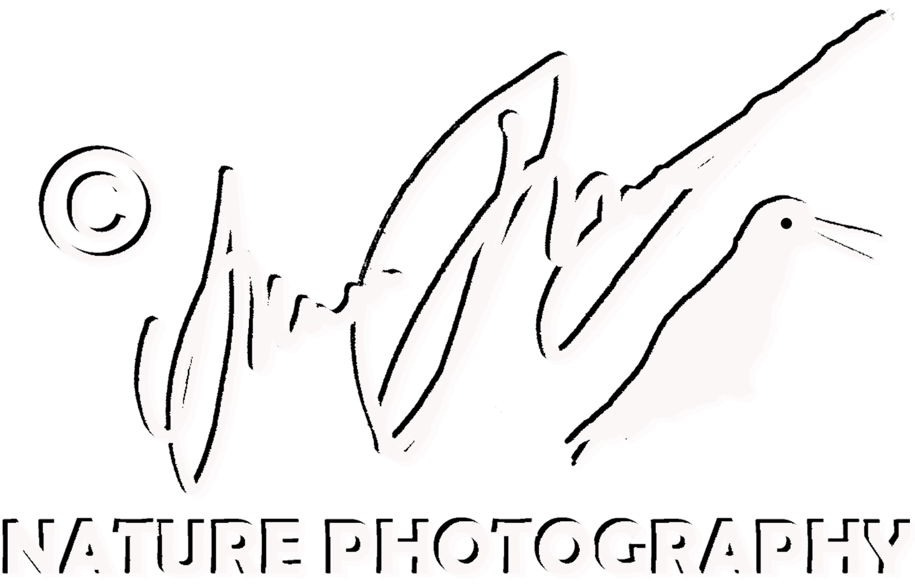 Adam Dziewit Logo